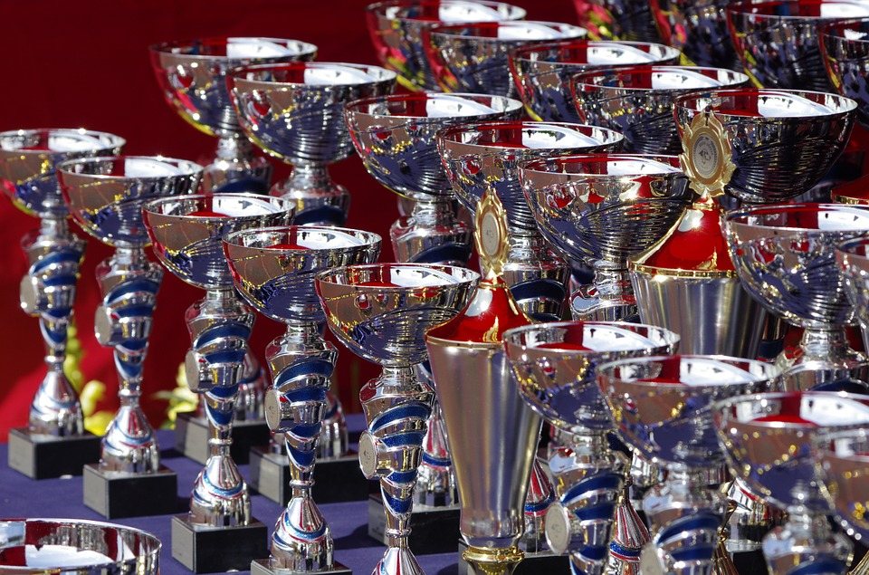 many rows of awards on a table 