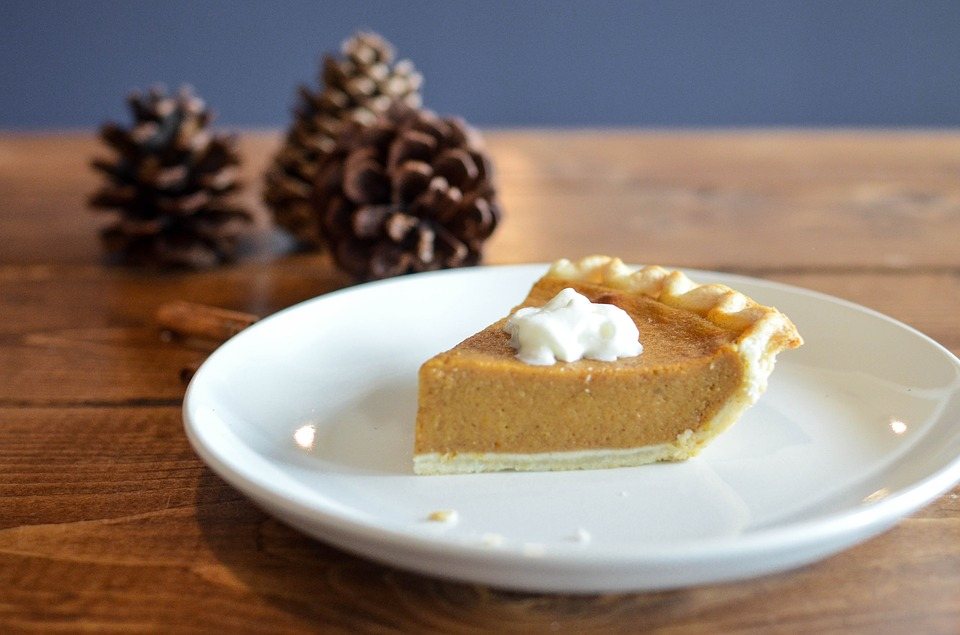 Happy Thanksgiving day slice of pie on a plate with pinecones