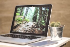 View of opened laptop on desk beside cactus and mobile device, displaying beautiful wooden forest up close